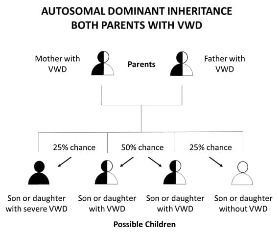 Autosomal Dominant Inheritance Both Parents with VMD Herencia autosómica dominante de ambos padres con la enfermedad de Von Willebrand.