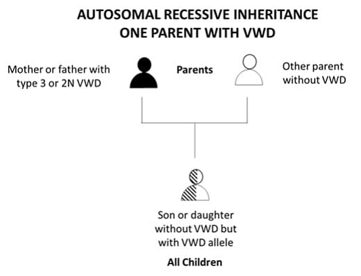Autosomal Recessive Inheritance One Parent with VMD Herencia autosómica dominante de uno de los padres con la enfermedad de Von Willebrand.