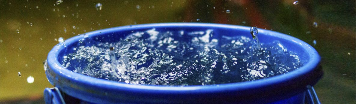 Bucket collecting water outside Blue plastic bucket outside collecting rainwater.