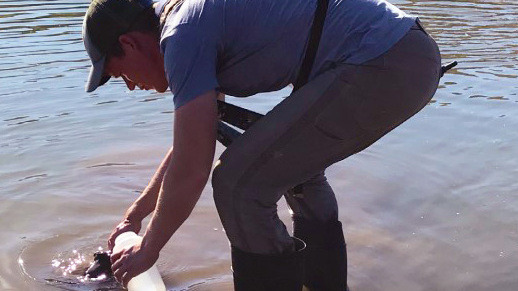 Resized again collecting water A scientist bending over to collect a water sample from an outdoor body of water.