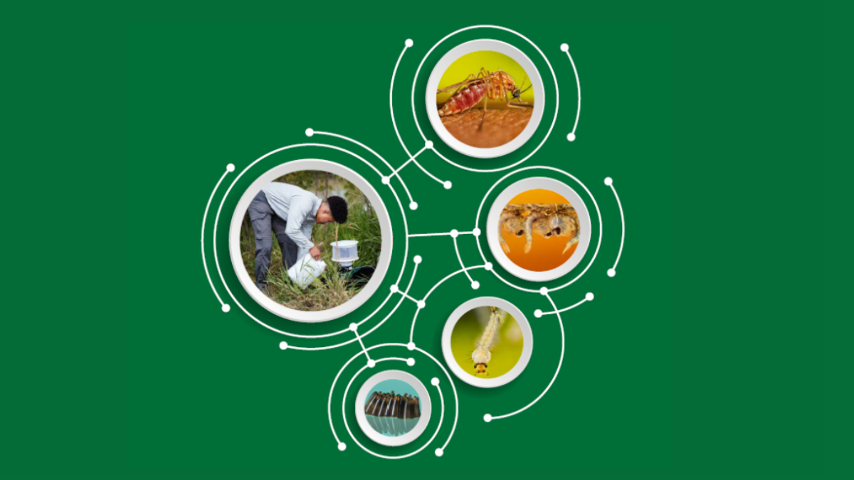 — title missing — Cover for WNV Surveillance and Control Guidelines