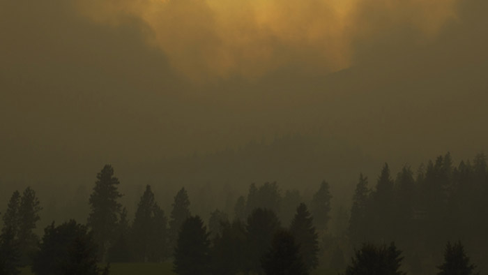 wildfiresmoke Forest difficult to see through a deep, orange cloud of smoke.