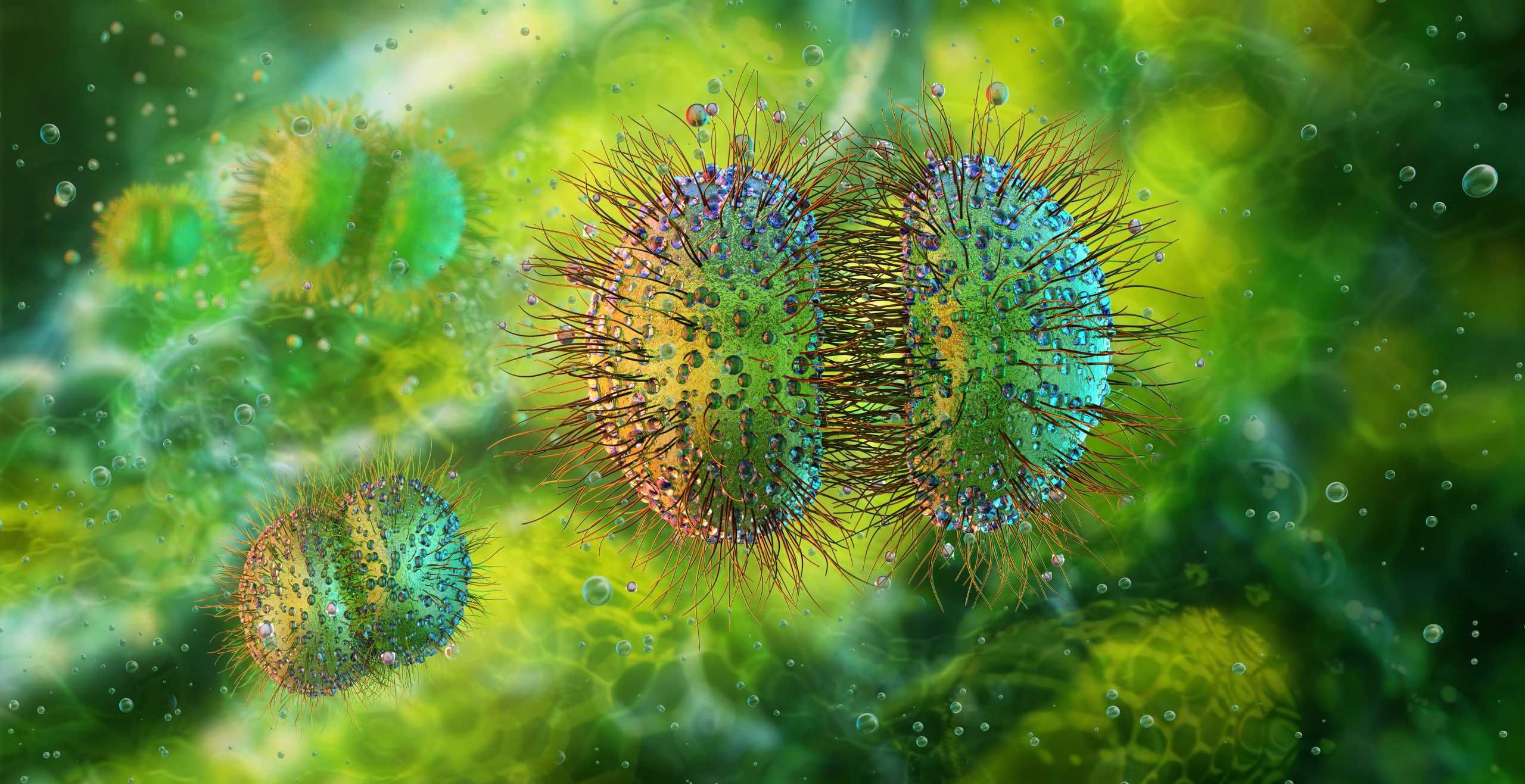 Meningococcal Disease