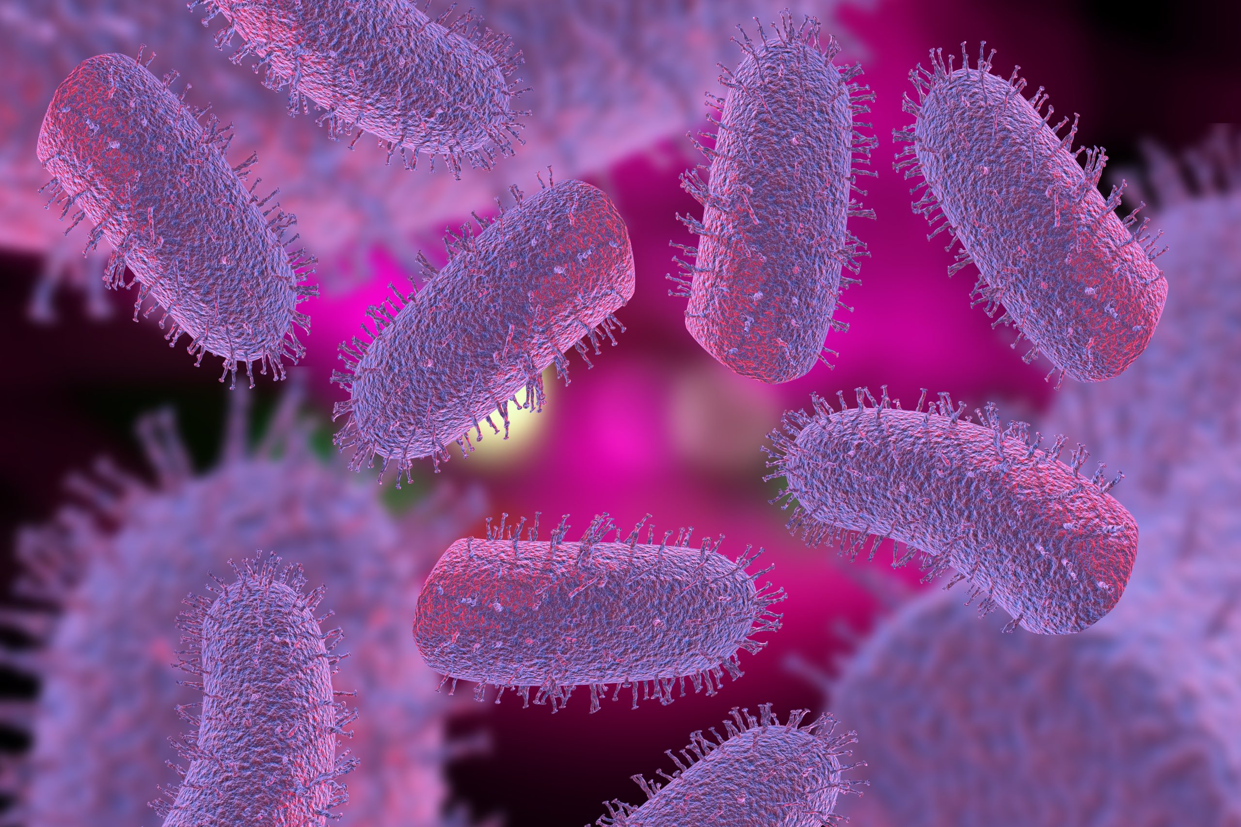 This image shows microscopic rabies  with hair-like fibers on purple, oblong shaped viruses.