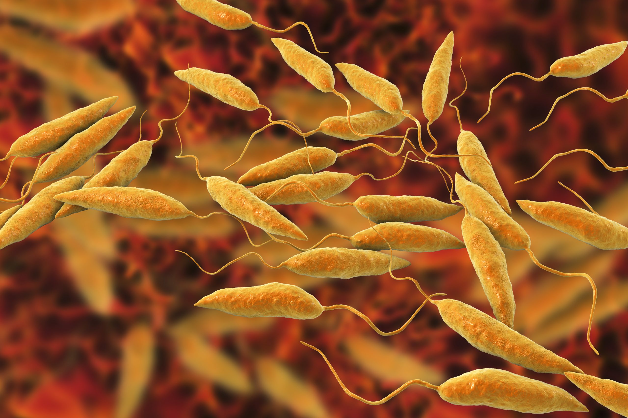 Leishmaniasis