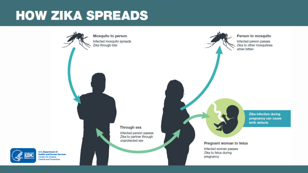 How Zika Spreads A graphic showing how Zika virus spreads between humans and mosquitoes, through sex and from a pregnant woman to her fetus.