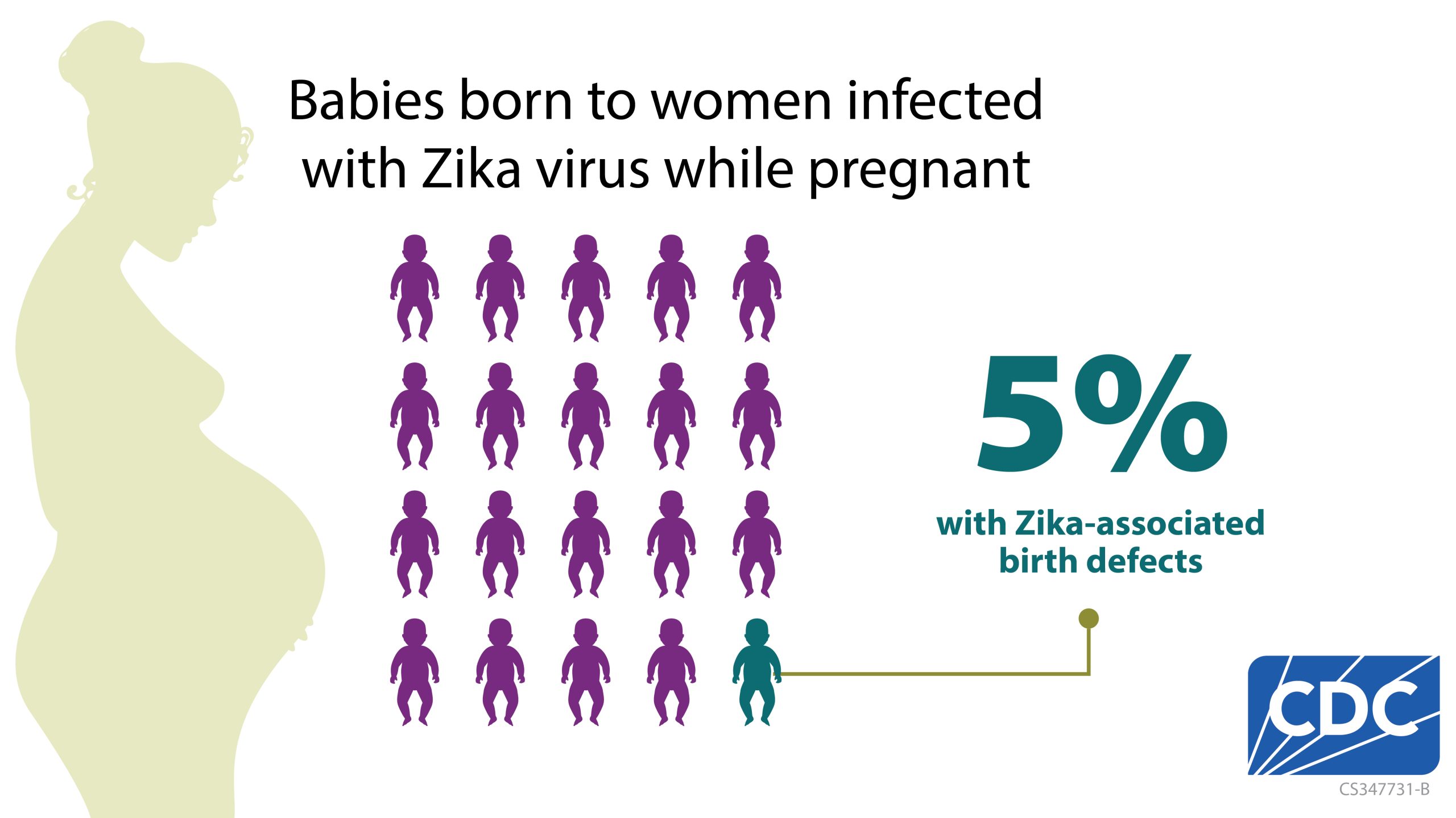 Zika Birth Defect Graphic Proportion Proportion of babies with Zika-associated birth defects